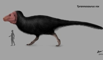 今度の新説ティラノサウルスキモすぎワロタ