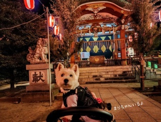 初詣に行けなかったので、氏神さまにご挨拶してきました