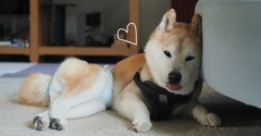 ソファーにもたれて…