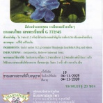 チェンライでテニス