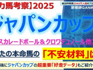 【回顧】マイルチャンピオンシップ ～オフトレイルのハナがあと30cm長ければ・・・～＜2025＞