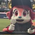 大商大シート