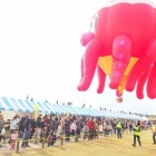 ���뼯BF  �ǽ��� ��α�٤β���