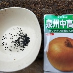 自然農菜園「はたけや」の作業日誌