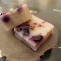千駄木　和菓子薫風２４０
