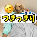 メルロコ一家の横須賀ストーリー