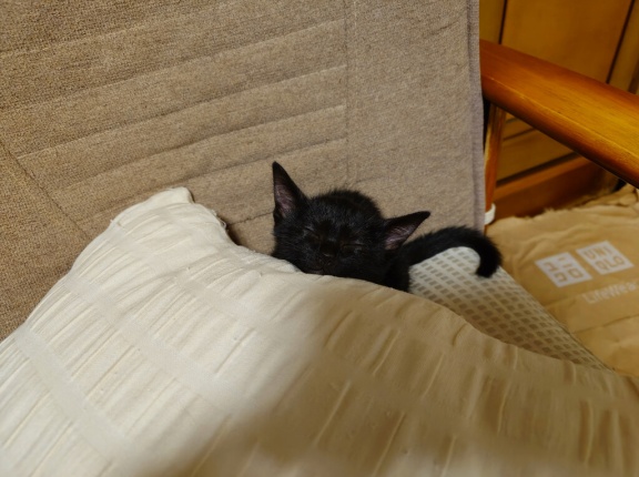 にほん旅 ‐その１
