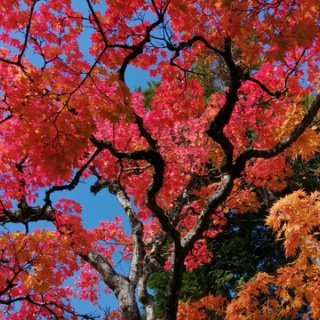 ちょっと幸せ、ずーっと幸せ