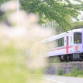 JR東日本キハ110系長野車両センター@キハ110-225（ハルジオン）