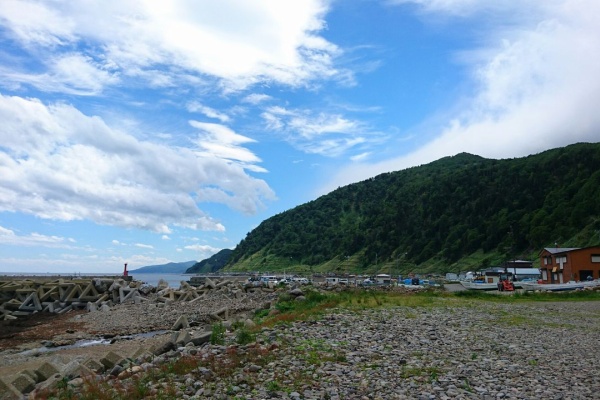 ドルフィンブログ