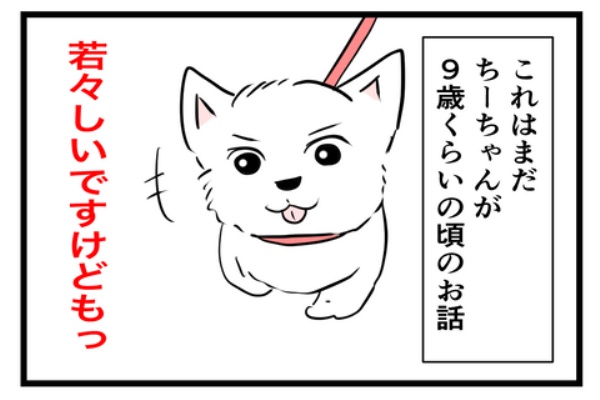 ちーちゃんっ🐾 - 面白い
