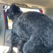 ちょっと私にはできないかも