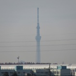 『来シーズンは思い切りスポーツが楽しめる年に』の画像