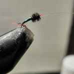関谷忠一の釣魚大全Ⅱ