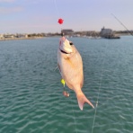 あつじぃーの投げ釣り一筋