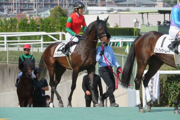 ゆきぞうと愛馬たちの自転車操業中 ラフィアン