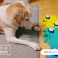 �������Υ֥쥤�����롼