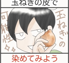 玉ねぎの皮で染めてみよう＊前編