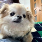 ♪毎日更新♪わたしの備忘録