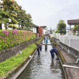 『ボランティア活動「クリーク清掃」』の画像