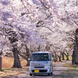 『歳をとると不便な生活に変わっていく』の画像