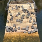 ときめき☆レーシング日記