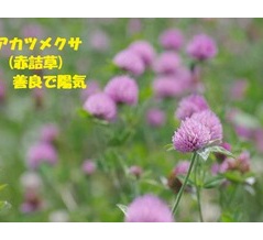 暦‐2026年4月18日