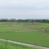 『週末へ向けた準備は進んでいますが…』の画像