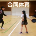 【合同体育🏸】
