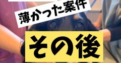 薄くはなかったけど。どんの尿の話。