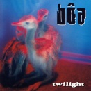 💻新品レコード新入荷💻『serial experiments lain』のアニメ主題歌『DUVET』収録『boa (UK ALTERNATIVE ROCK) / TWILIGHT』！