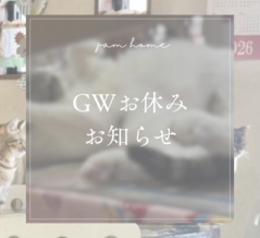 《GWお休みのお知らせ》