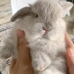 うのくらし