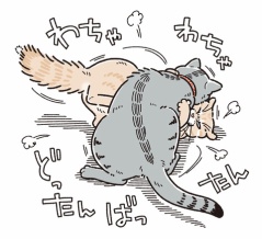 どこ行った？