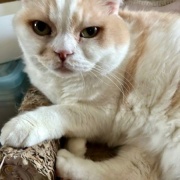 1日に2回、獣医さんへ行きました