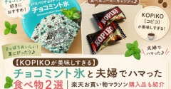 【KOPIKOが美味しすぎる】チョコミント氷と夫婦でハマった食べ物2選｜楽天お買い物マラソン購入品も紹介