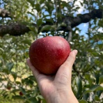 NPO法人キセキ みなくるはうす-公式Blog