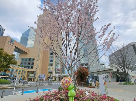 4～6月の旅の予定・遠方が多め