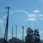 葉っぱ塾～ブナの森から吹く風