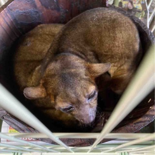 大型熱帯魚屋  ZEEBRA