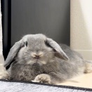 見つめていると見つめられる