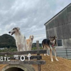 .•*.•*beny beny*•.*•.