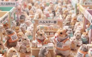 【闇】コミケスタッフをやった結果