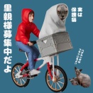 白黒兄妹のお届け決まりました