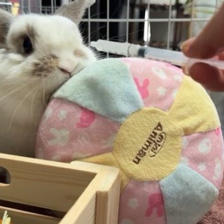 うのくらし