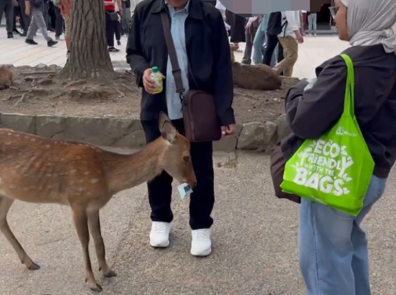 奈良公園の鹿にゴミを食べさせた外国人男性は誰で何者？ヒジャブ女性は娘？国籍は何人？インドネシア人？名前・顔画像・インスタ特定、謝罪と釈明まで徹底調査