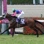 【競馬予想】[2]第67回宝塚記念(GⅠ) /2026