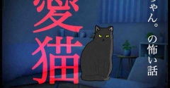 愛猫46