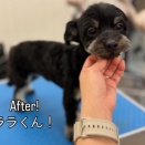 2026/01/13のトリミング🎀