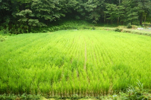 岩殿満喫クラブ 岩殿 Day By Day 除草